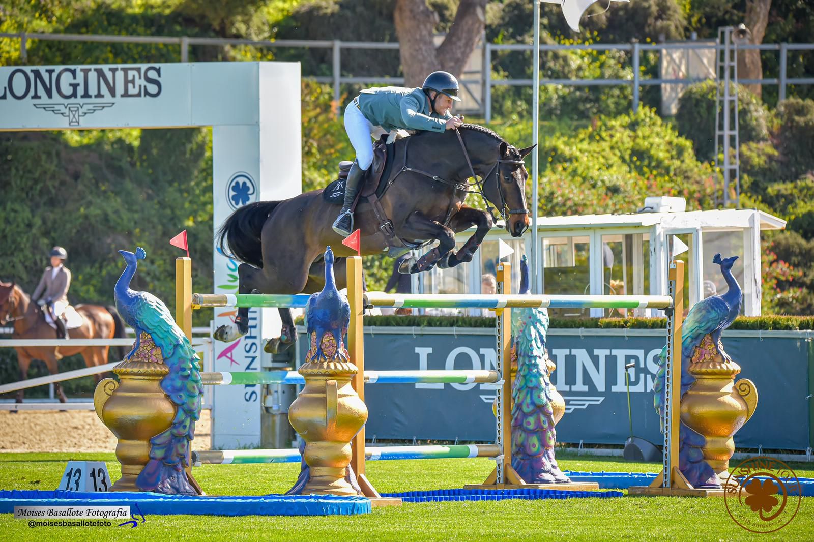découvrez le parcours impressionnant d’adrian whiteway avec chacco volo, un cheval ayant relevé avec succès des défis d’obstacles allant de 90 cm jusqu’à 1,60 m. résultats, progression et moments forts.