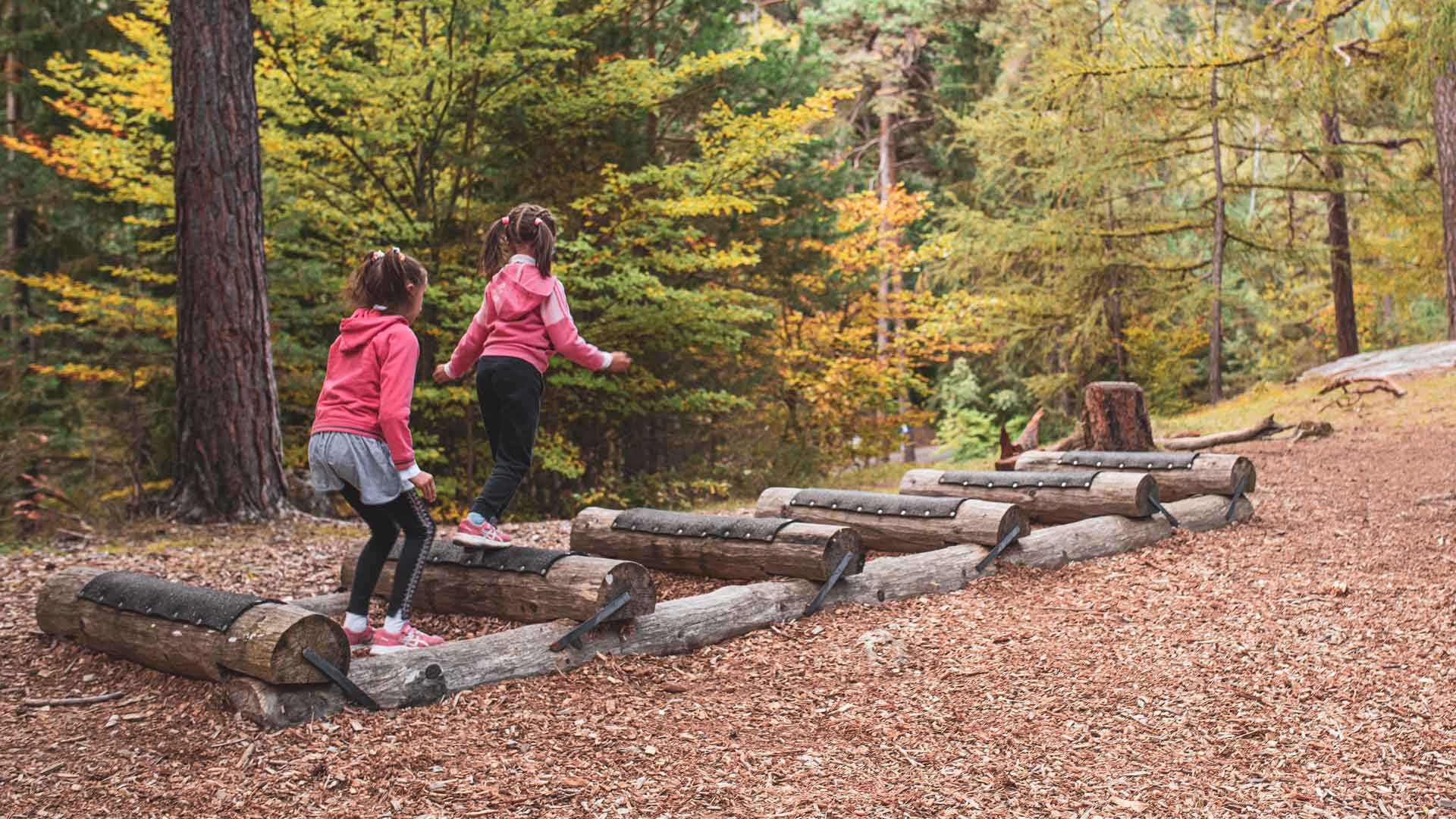 découvrez le parcours équestre d'adrien whiteway, cavalier passionné, ses expériences, compétitions et réalisations dans le monde du cheval.