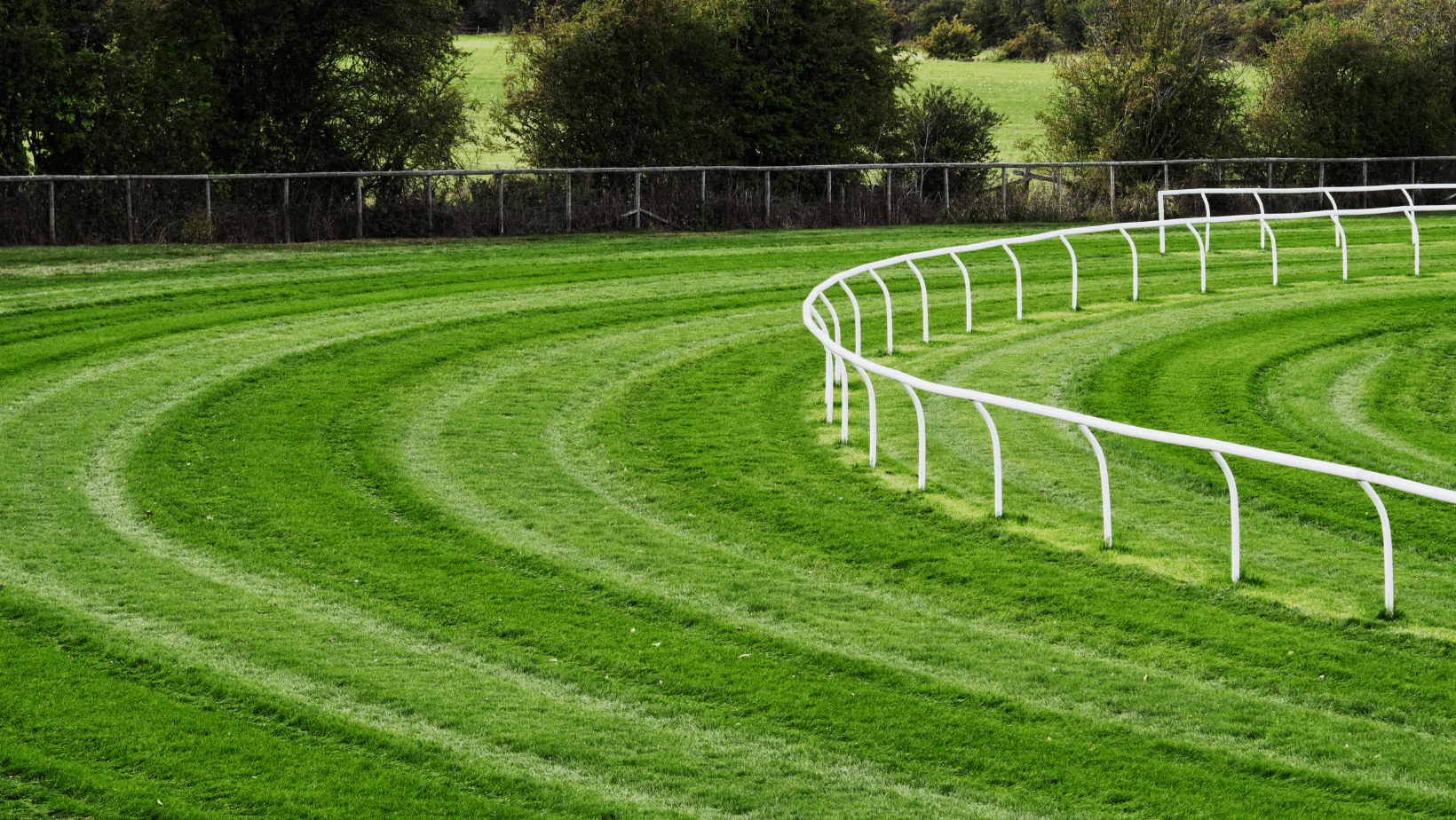 découvrez victorio à cagnes-sur-mer : une adresse incontournable proposant une cuisine savoureuse et une ambiance conviviale, idéale pour partager un moment gourmand sur la côte d’azur.
