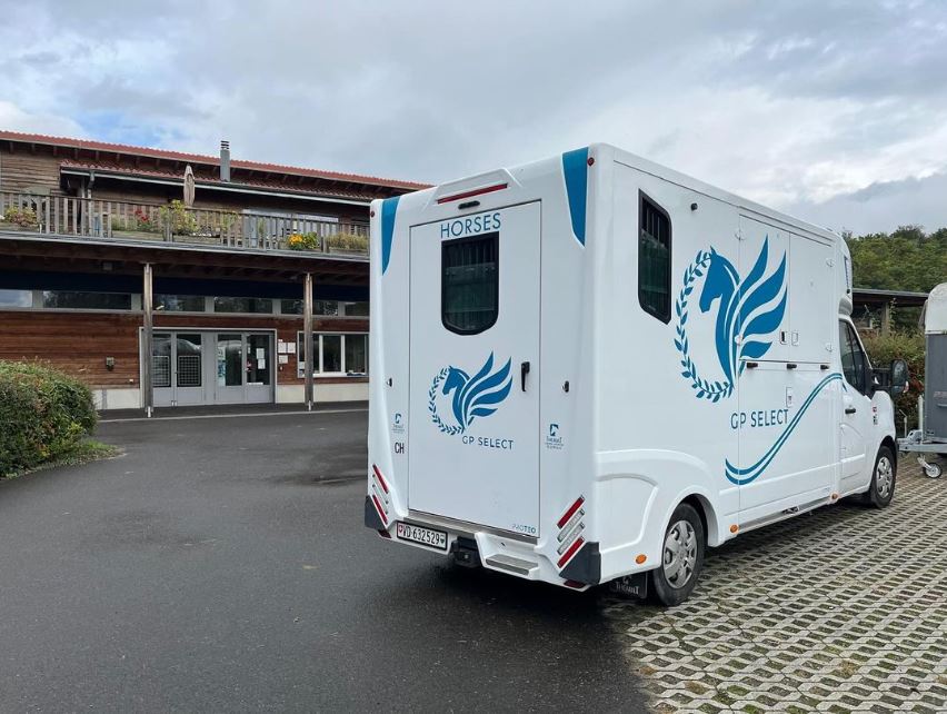 découvrez notre camion d'occasion pour chevaux 2 places, alliant sécurité et confort pour le transport de vos animaux en toute sérénité.