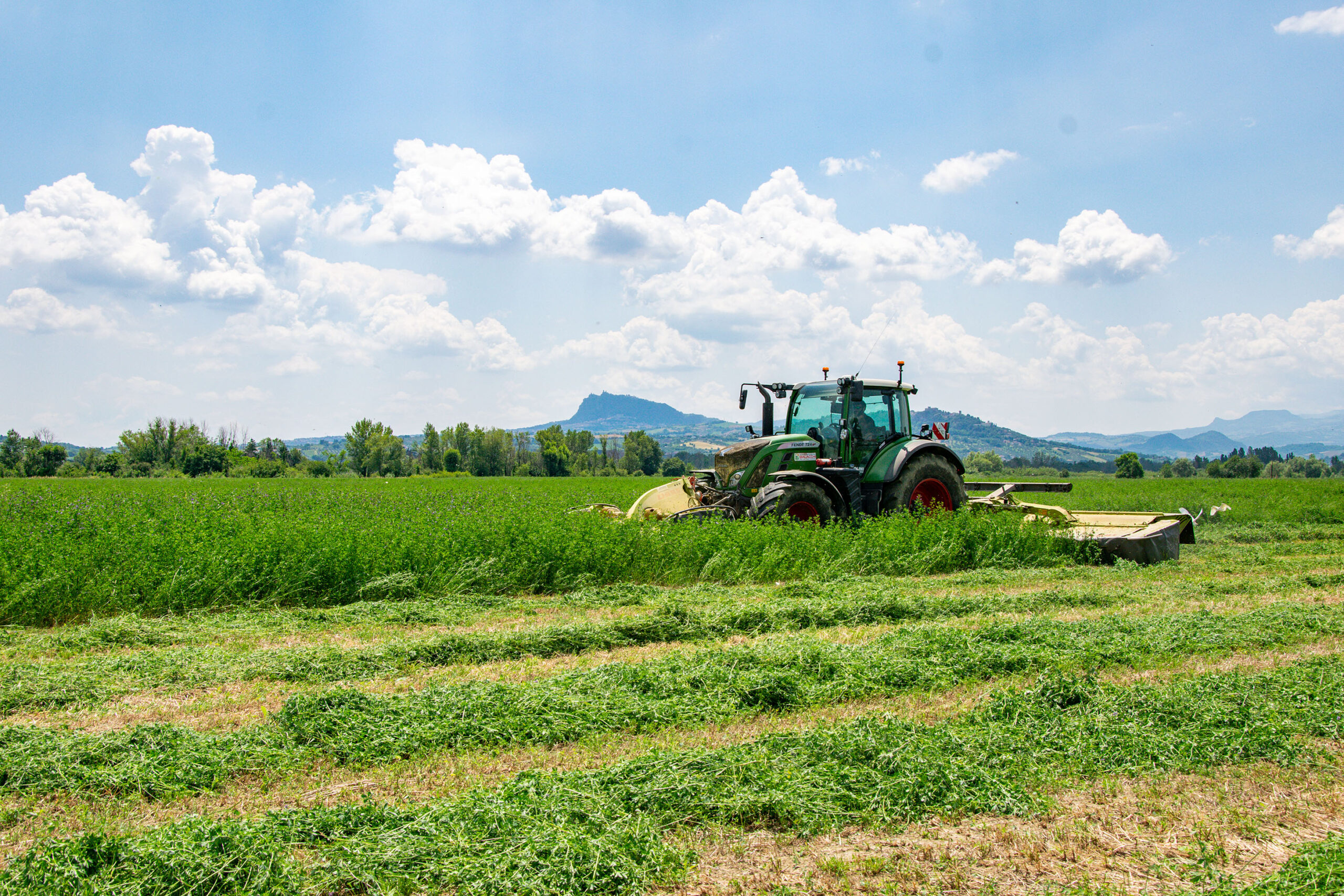 découvrez pourquoi choisir du foin dépoussiéré est essentiel pour la santé de vos chevaux. apprenez les avantages et conseils pour un fourrage propre et adapté.