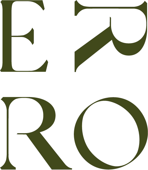 Logo ERRO