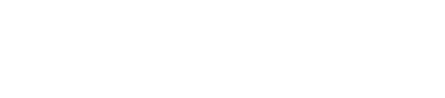Logo Zaldi