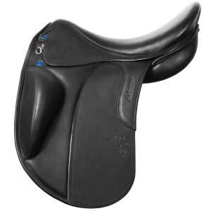 Stubben : Icelandic Saddle Adventure