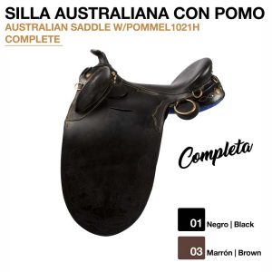 Unknown : SILLA AUSTRALIANA CON POMO (COMPLETA)