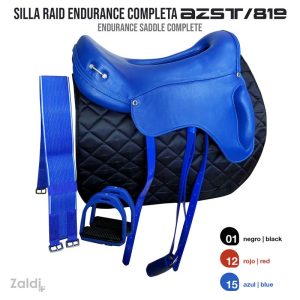 Unknown : SILLA RAID ENDURANCE AZST 819 COMPLETA
