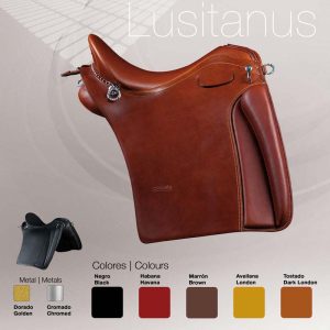 Unknown : SILLA ZALDI P. LUSITANUS