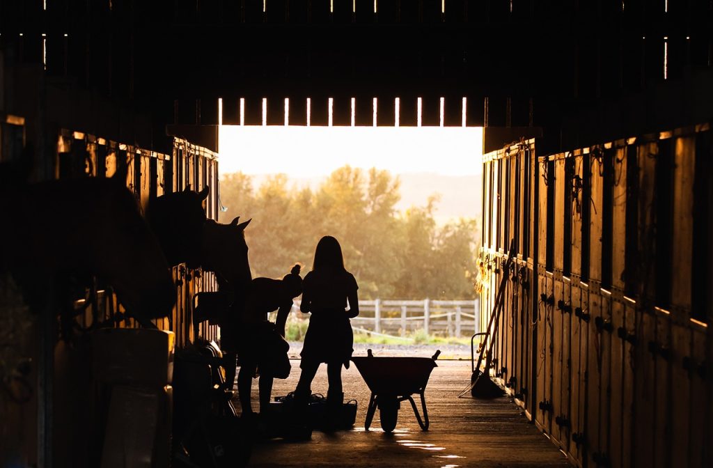 stable boots cheval : comment bien choisir les bottes pour votre cheval