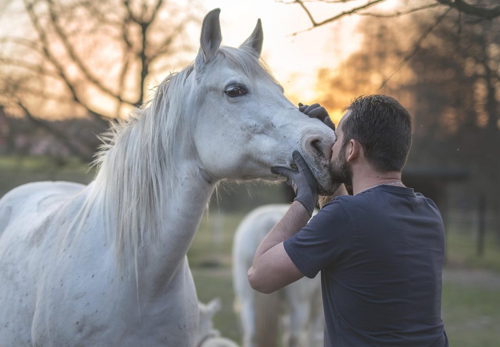 quel charme pour une tasse cheval : découvrez ses atouts uniques