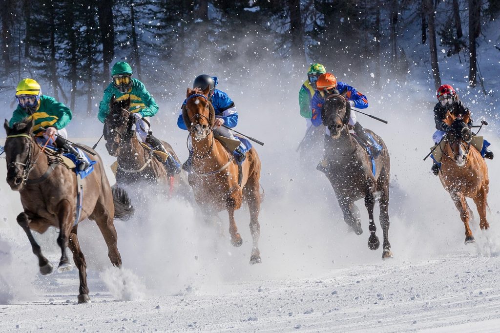 Eau froide et chevaux : ce que révèlent les vétérinaires, entre mythes et réalités