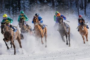 Eau froide et chevaux : ce que révèlent les vétérinaires, entre mythes et réalités